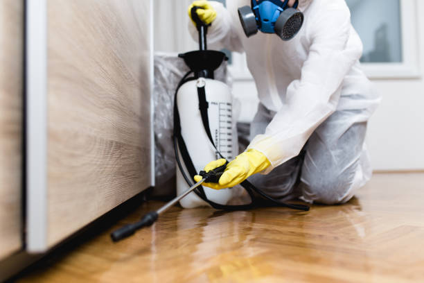 Best Termite Control Services  in Custer, SD