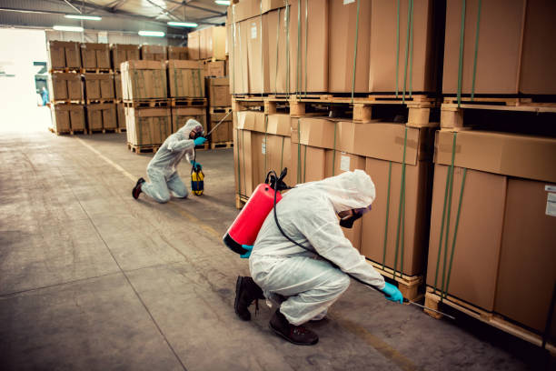 Best Termite Control Services  in Custer, SD