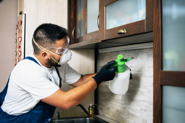 Best Residential Pest Control  in Custer, SD