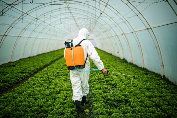 Pest Prevention Services in Custer, SD