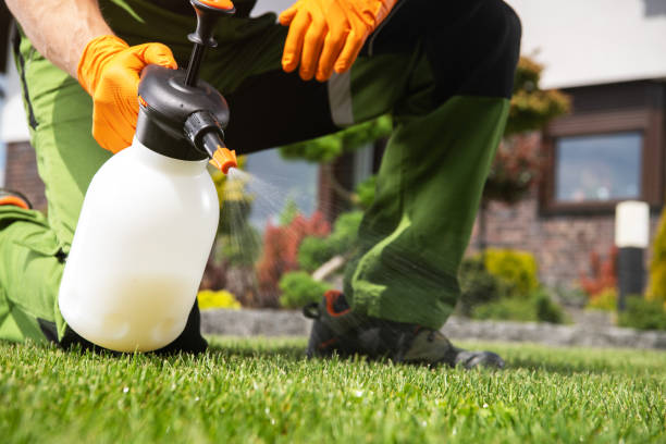 Best Pest Prevention Services  in Custer, SD