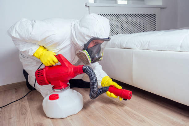 Best Pest Control Near Me  in Custer, SD