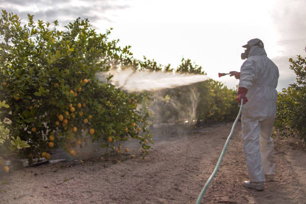 Best Cockroach Control Services  in Custer, SD
