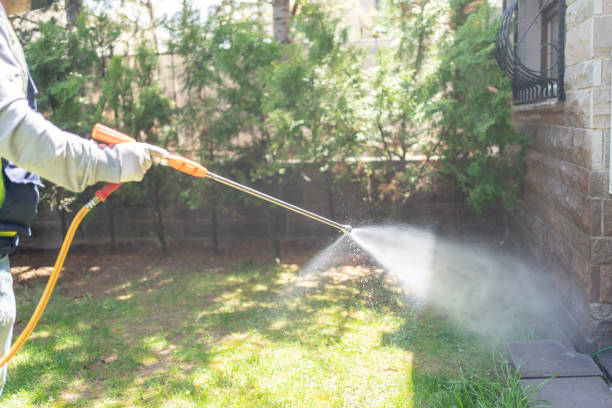Best Best Pest Control Companies  in Custer, SD