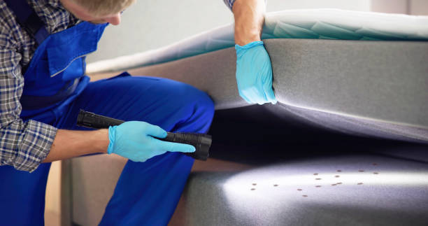Best Rat Extermination Near Me  in Custer, SD